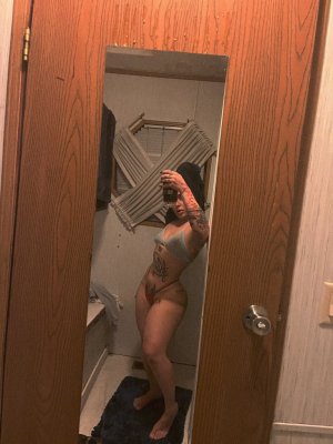 Gallery image 4